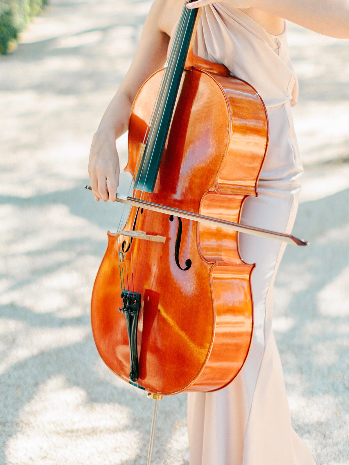 Détail d'un violoncelle et de son archet