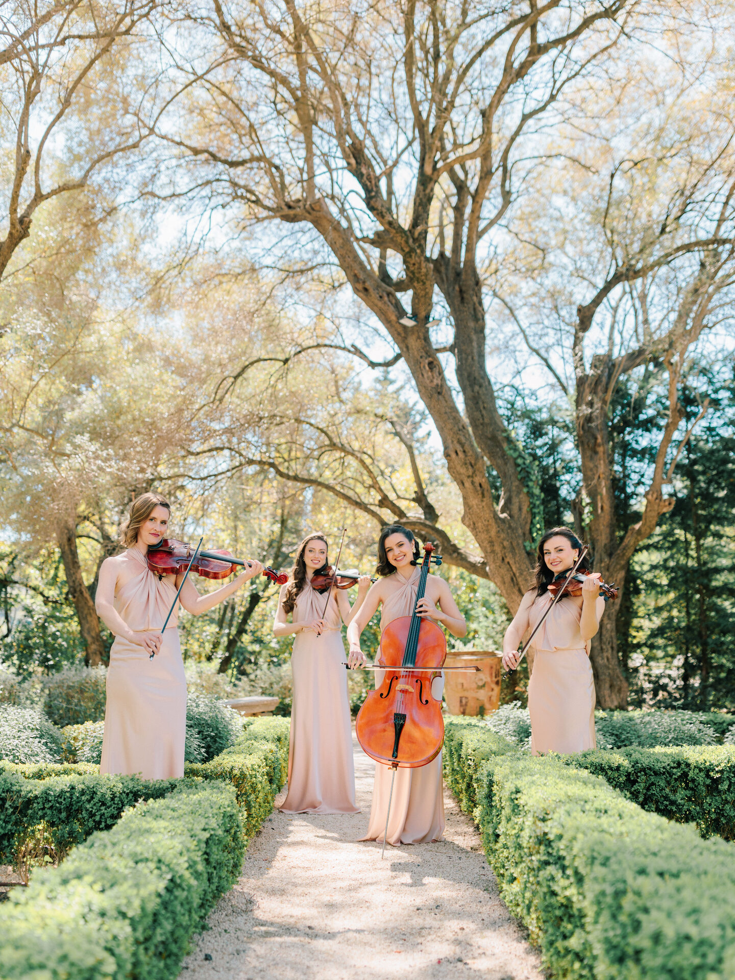 Quatuor à cordes dans une allée de buis